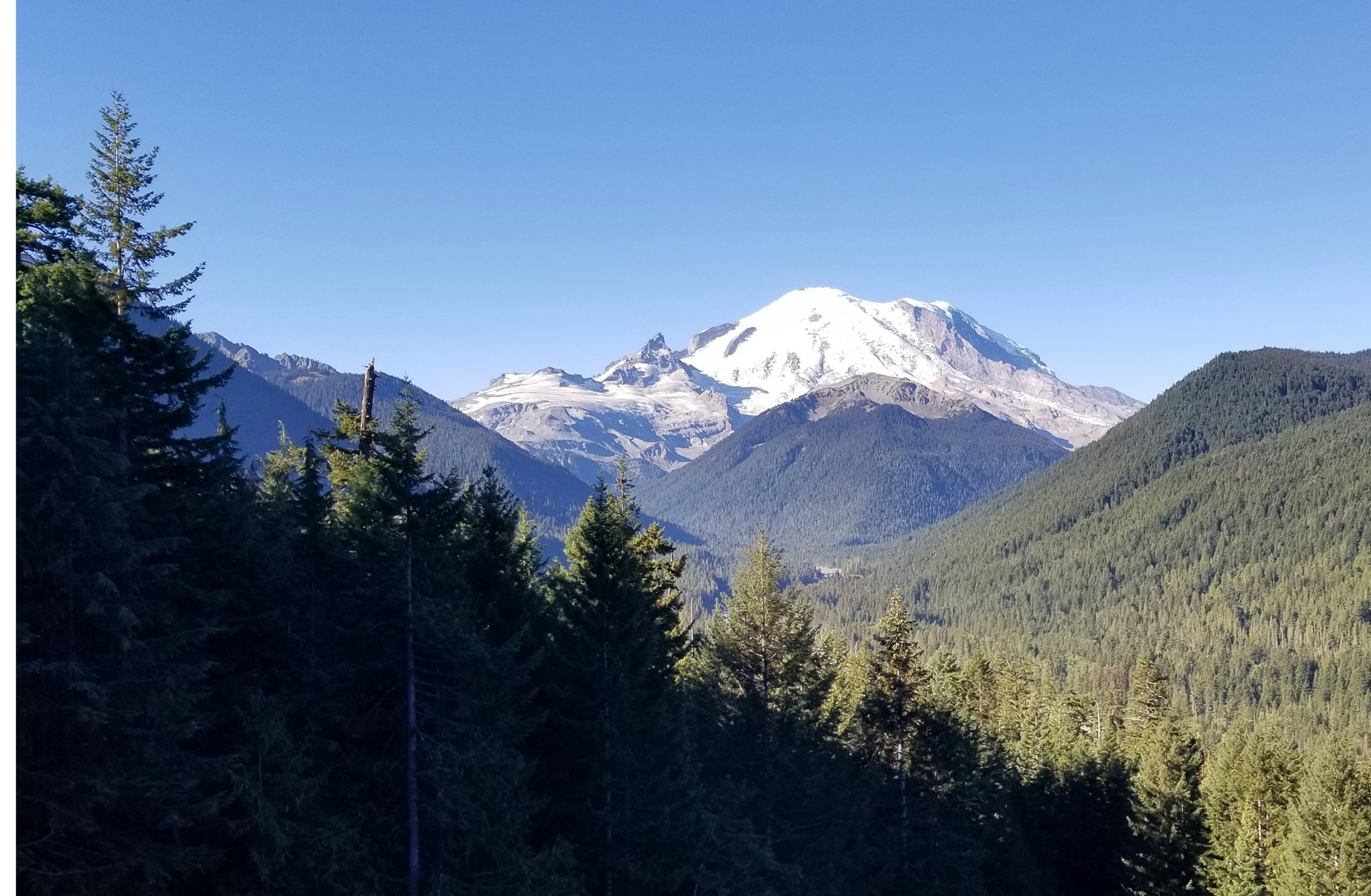 Mt Rainier